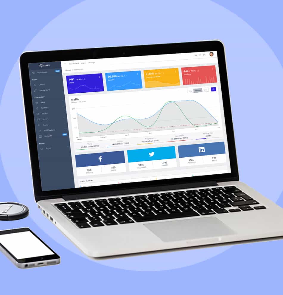 Case Management System Portfolio
